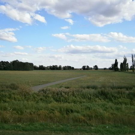 Appartamento Alles Paletti Mit Klimaanlage Wittenberg Esterno foto