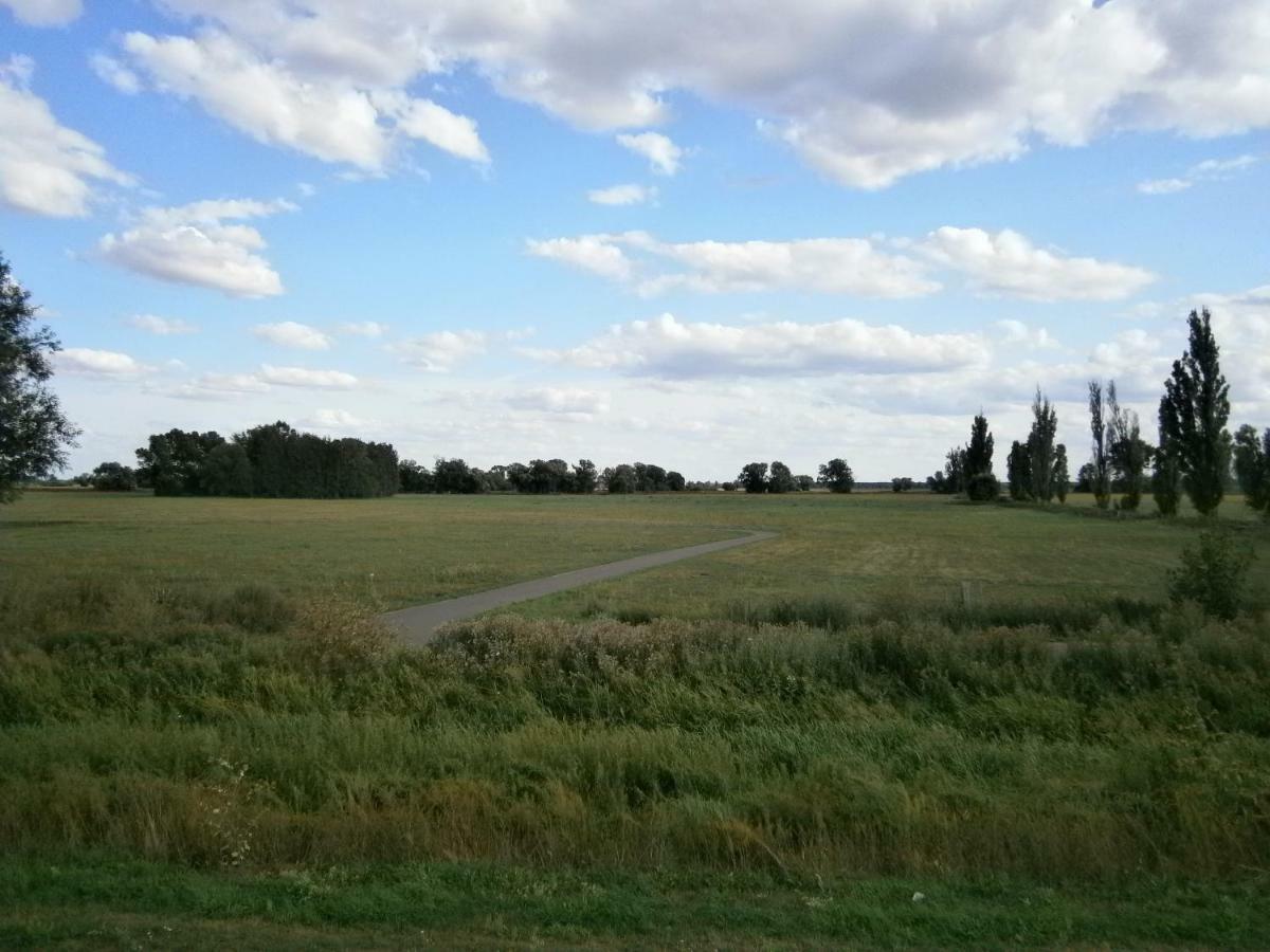 Appartamento Alles Paletti Mit Klimaanlage Wittenberg Esterno foto