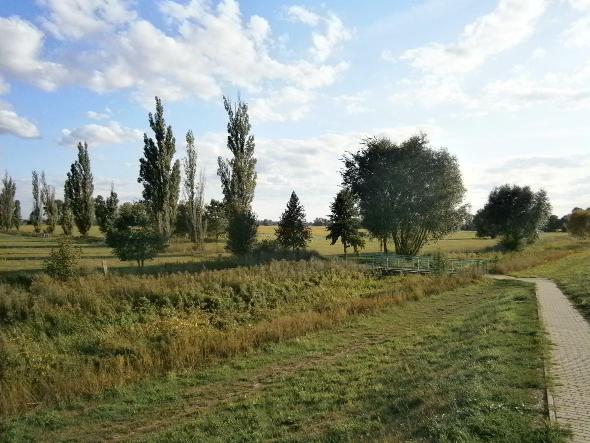 Appartamento Alles Paletti Mit Klimaanlage Wittenberg Esterno foto